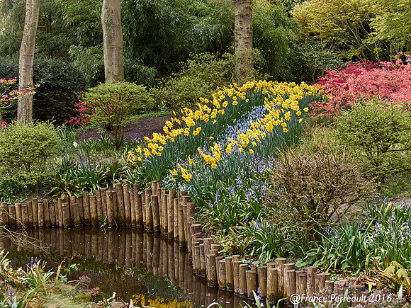 Jardin de Keukenhof, Pays-Bas