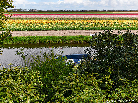 Jardins de Keukenhof