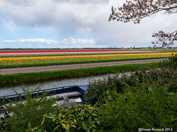 Jardins de Keukenhof