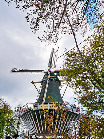 Jardins de Keukenhof
