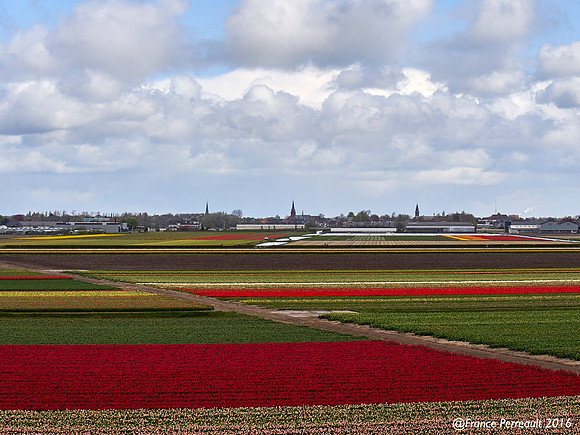 Jardin de Keukenhof, Pays-Bas