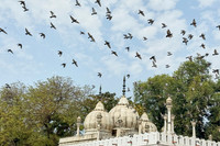 Delhi
