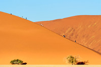 Dunes Sossusvlei