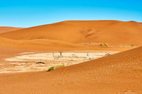Dead Vlei