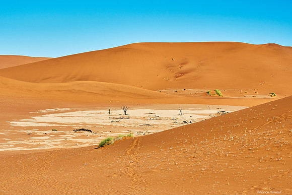 Dead Vlei