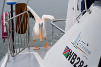 Walvis Bay