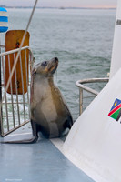 Walvis Bay