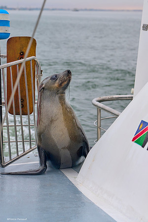Walvis Bay
