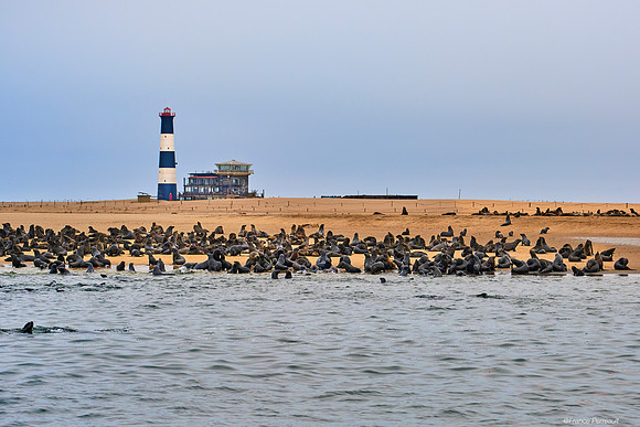 Walvis Bay