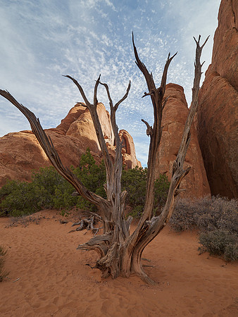 Arches national parc