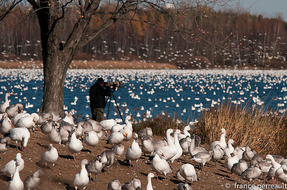 Which one to choose\Lequel photographier