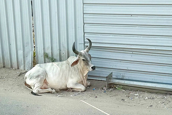Inde du Nord 2024