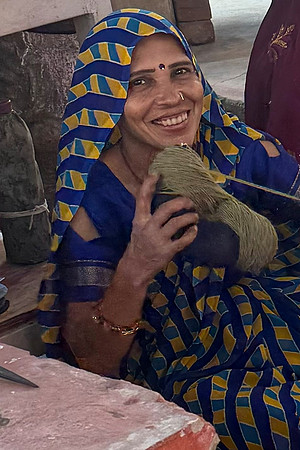 Inde du Nord 2024