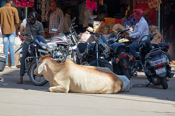 Inde du Nord 2024