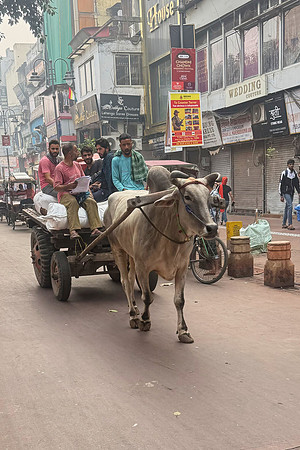 Inde du Nord 2024